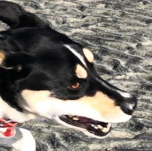 Meet your Posher, Tamara